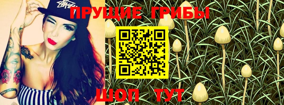 Курган  Псилоцибиновые грибы Magic Shrooms  Вход с VPN 